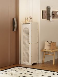 ZHUSHANXIA | Space-saving Durable Dust-proof Shoe Rack