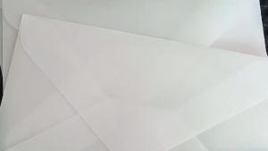 50pcs Blank Translucent Envelope for Invitations Postcards European Giftbox Message Card Envelopes Wedding Business Letters