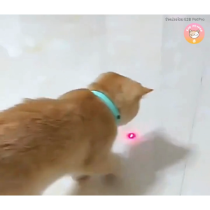 ปลอกคอเลเซอร์อัตโนมัติสำหรับแมว ของเล่นแมว เลเซอร์แมว ปลอกคอแมว B075