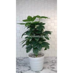 Pohon Daun Tanaman Artificial Anubias X18 Semilatex Pot Ulir Lovenia Putih Plastik Dekorasi Rumah Cafe Aesthetic