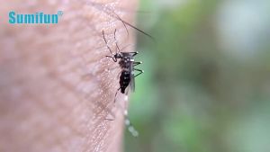 High Quality [ Spot inventory ] sumifun 36 Paste / Bag   Childrens Mosquito Repellent Paste   Harmless Anti-Mosquito Plaster  K14302