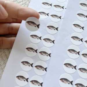 Encouragement Teaching Seafood And Meat Stickers for Kindergarten Children Student Reward Decals Easy Apply Removable