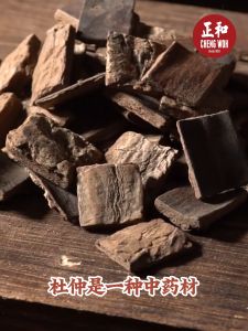 杜仲 200g Eucommia Bark Herba Cina kering