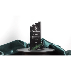 ACRYLIC PLAQUE - ACRYLIC TROPHY FOR AWARDING - SUMMIT OF RECOGNITION AWARD - CUSTOMIZED PERSONALIZED JAY C. DESIGNS - 8021