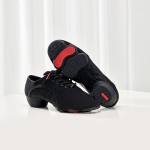 Soft Bottom Dance Shoes Latin Dance Square Dancing Shoes for Girls Women Men Teachers Flat Heel Fitness Sports Shoes