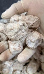 บ๊วยเค็ม size L เม็ดใหญ่ ถุง 2 kg. มีเกร็ดเพชรแท้ ตราแอปเปิ้ล สินค้าหายากพร้อมส่ง เหมาะสำหรับเป็นส่วนผสมน้ำกระท่อม