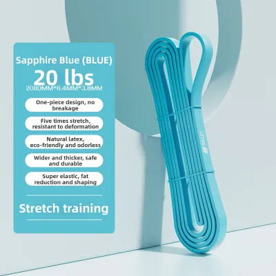 Resistance Band Fitness Accessory