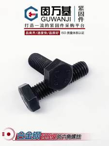 GUWANJI | High-Strength Hexagonal Screw Bolts