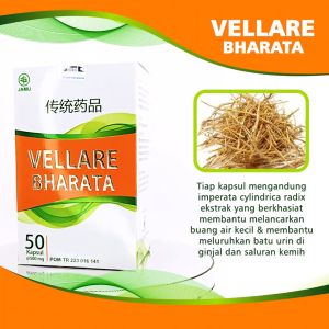 Obat Batu Ginjal Tanpa Operasi Vellare Bharata Original Kemasan 500mg Isi 50 Kapsul Garansi 100% Asli