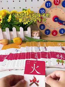 WANXUEXING | Educational Chinese Character Cards 3000 pcs