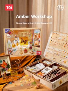 ZHIYE | DIY Resin Craft Educational Toy