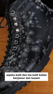 Reven Leather Jakarta - Leather Balm Balsam Semir Biopolis Cream Balsem Pelembab Perawatan Sepatu
