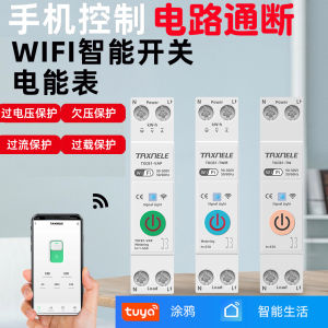 Smart Switch Remote Control WiFi Graffiti App Disconnection Timer Mobile Control Home Automation Smart Device KSN-KK-02