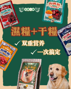 Wong Choi Family Dog Wet Food Pouch