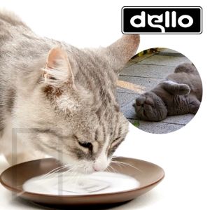 Susu Penggemuk Kucing Premium Fat Milky Cat untuk Pertumbuhan Optimal Nutrisi Langsung ke Dalam Tubuh Adult Maupun Kitten DELLO FOR CAT