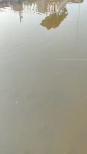 1 Mồi Câu Giả Bằng Nhựa Nổi 11cm/13g Có 3 Móc Câu Dùng Câu Cá Hồi Cá Chép Ở Biển Sông Hồ