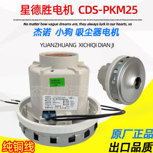 Dog Hair Vacuum Cleaner Motor D809 High Power 1800W 1600W with Copper Wire Accessory by Xing Desheng