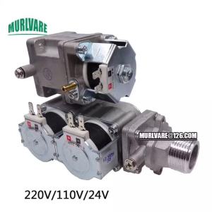 วาล์วปรับอากาศแก๊ส 220V 110V 24V สำหรับหม้อไอน้ำแก๊ส เครื่องทำน้ำอุ่น เตาติดผนัง อะไหล่