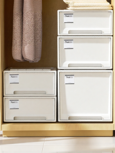 TAILI | Clothes Storage Box Drawer Style