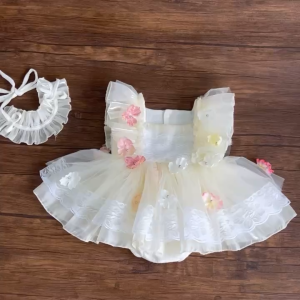 BD255 Body váy công chúa cho bé gái sơ sinh RIOKIDS quần áo đầy tháng thôi nôi cho bé