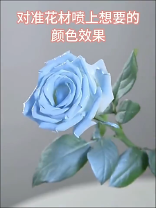 450ml Flower Colour Spray / Professional Floral Color Spray / Spray Warna Bunga