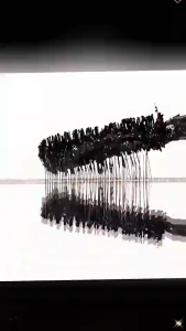 ทรงท่อเหล็ก มาสคาร่าแบบม้วนงอได้ยาวนาน มาสคาร่าท่อเหล็ก ขดลวดยาวกันน้ำ หนาเด่นชัดเหมือนขนตาปลอม ไม่แพนด้าแม้เปลือก ตามันล้างออกง่ายด้วยน้ําเปล่า มาสคาร่าแบบแท่งเหล็กขนาดเล็ก