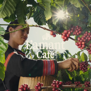 Cà phê rang xay L’amant Truyền thống - L’amant Ground Coffee - Traditional