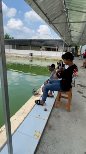 Joran Pancing Thunder Fiber Solid Sambung 2 Spek Medium Action