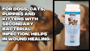 Hugz Anti-Bacterial Deodorizing Powder For Dogs and Cats 100g