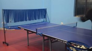 Moveable Standing Ping Pong Ball Net Collector Table Tennis Ball Recycle Net Catcher Stopper net