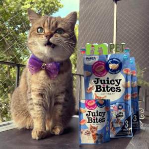 SNACK BÁNH THƯỞNG DẠNG MỀM INABA JUICY BITES CHO MÈO - NHẬP KHẨU INABA THÁI LAN