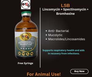 LSB I Lincomycin + Spectinomycin + Bromhexine l For animal use only