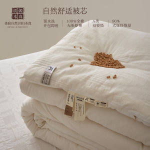 Pure Cotton 90% Soybean Fiber Duvet Winter Spring Autumn Core Cotton Duvet Air Conditioner Duvet Four Seasons Universal