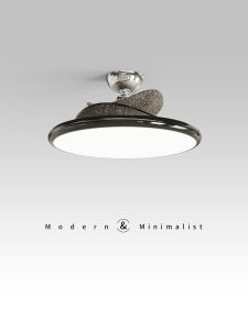 MR.LAMP | Eye-protecting Minimalist Modern Bedroom Ceiling Light