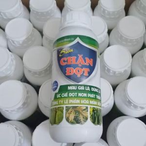 Siêu Chặn Đọt 500ml Mau già lá đứng lá ức chế đọt non phát triển tăng tỷ lệ thụ phấn mầm hoa cho Sầu Riêng ăn trái