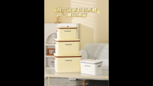 GTHome.sg storage box flip up or down lids easy to storage and stack up strong and durable