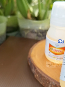 Decis 25 EC 50 ml insektisida hama tanaman hortikultura buah sayur bunga
