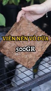 Viên nén vỏ dừa cắt 500Gr đã qua xử lý - Giá thể trồng cây chất lượng cao | Độc quyền Family Garden