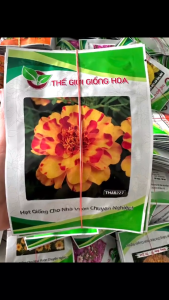 Hoa Vạn Thọ Ban Mai TMAR228 THẾ GIỚI GIỐNG HOA (Gói 100 hạt) - Hoa màu cam (màu chuẩn)