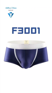 Mens Boxer: Polyester Jap Style Metallic Brushed Boxer Brief Underwear (F3001)