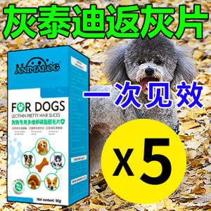วิตามินสำหรับสุนัข เอวิตา 6537 แบคทีเรียดีเดี่ยว อะมิโนแอซิด น้ำมันปลา วิตามินสำหรับสุนัข Teddy ให้สุนัขกลับสี อาหารเสริมเพื่อสุขภาพผิวและขนสัตว์