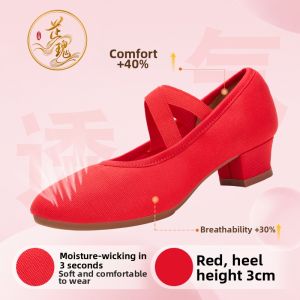 Ballet Style Soft Bottom Mid Heel Dance Shoes