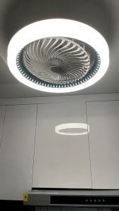Fan Light/Ceiling Fan Light//Simple Living Room Bedroom/Home Integrated Fan Light/Smart Stepless Dimming Remote Control/