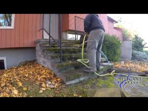 1 Kg - Bột tẩy rong rêu - Tẩy sân xi măng - Sân gạch - Bờ tường - Bậc thềm nhà - Sạch nhanh - Hiệu quả