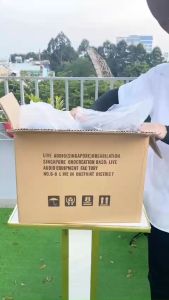 Loa Treo Tường mới nhất có giá treo F550 (1 cặp) Thích Hợp Treo Ở Quán Cà Phê Phòng Trà Phòng Khách spa lớp học nhà thờ phòng khách