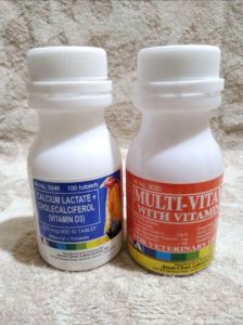 Multivitamin and Calcium Lactate (100 PCs tablet) Arvet