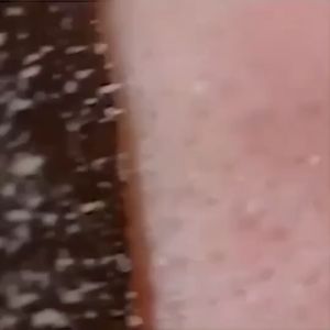 HANASUI Naturgo Masker Lumpur Lightening Peel Off Mask 60g TUBE | BLACK MASK