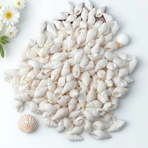 100/200 ชิ้น Mini สีขาวเปลือกหอยเกลียว - Ocean สไตล์ตกแต่งบ้าน งานฝีมือ DIY งานแต่งงาน ขวด Drift Party อุปกรณ์เสริม