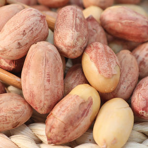 Garlic Flavored Roasted Peanuts 500g