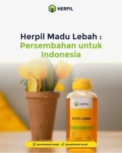 MADU LEBAH HERPIL madu asli murni nektar multiflora 100% Alami Natural pure